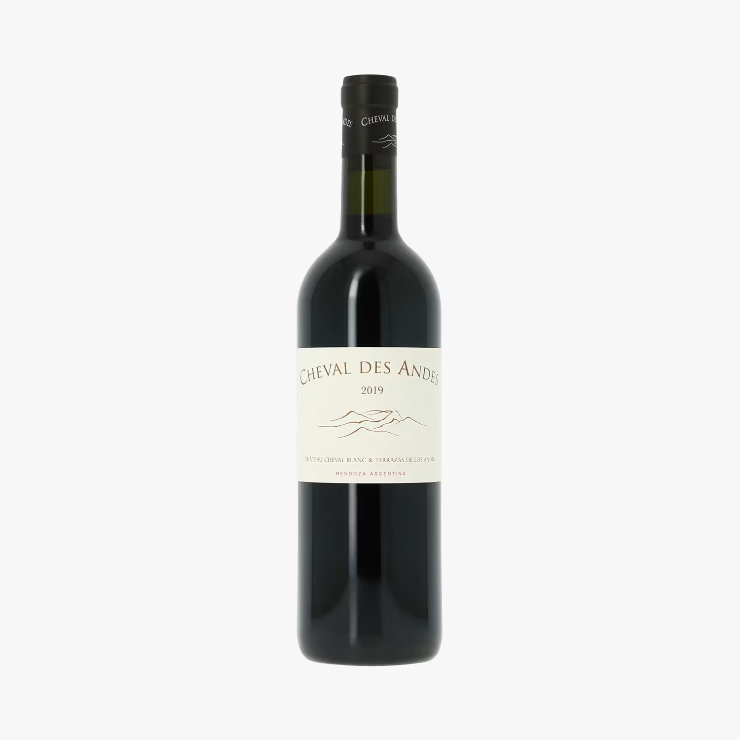 Cheval des Andes, 2019 